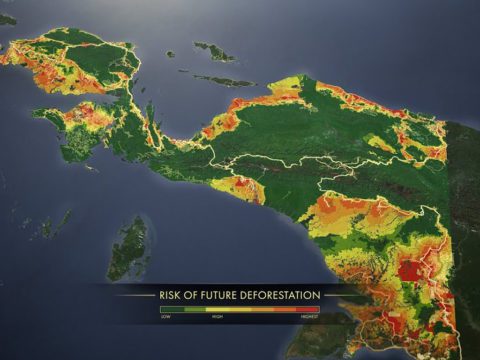 Graphic depicting the risk of Future Deforestation for Papua, Indonesia.