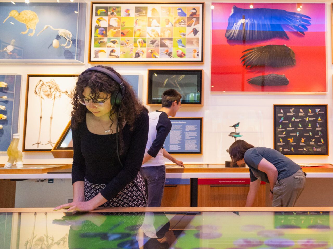 Cornell Lab of Ornithology's Adelson Family Bird Discovery Lab