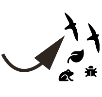 Birds, frog, insects, leaf with up arrow