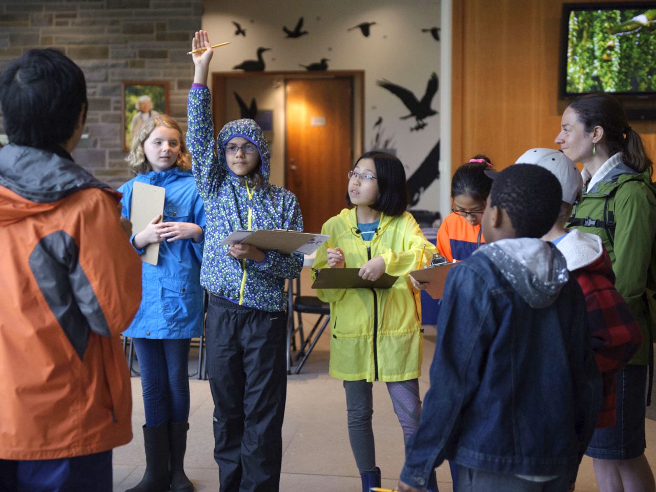 Education, Visitor Center hands up, Courtesy of Cornell Lab/K12