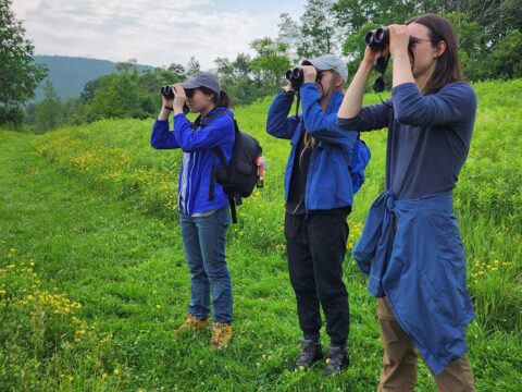 Young birders looking through binoculars in the same direction