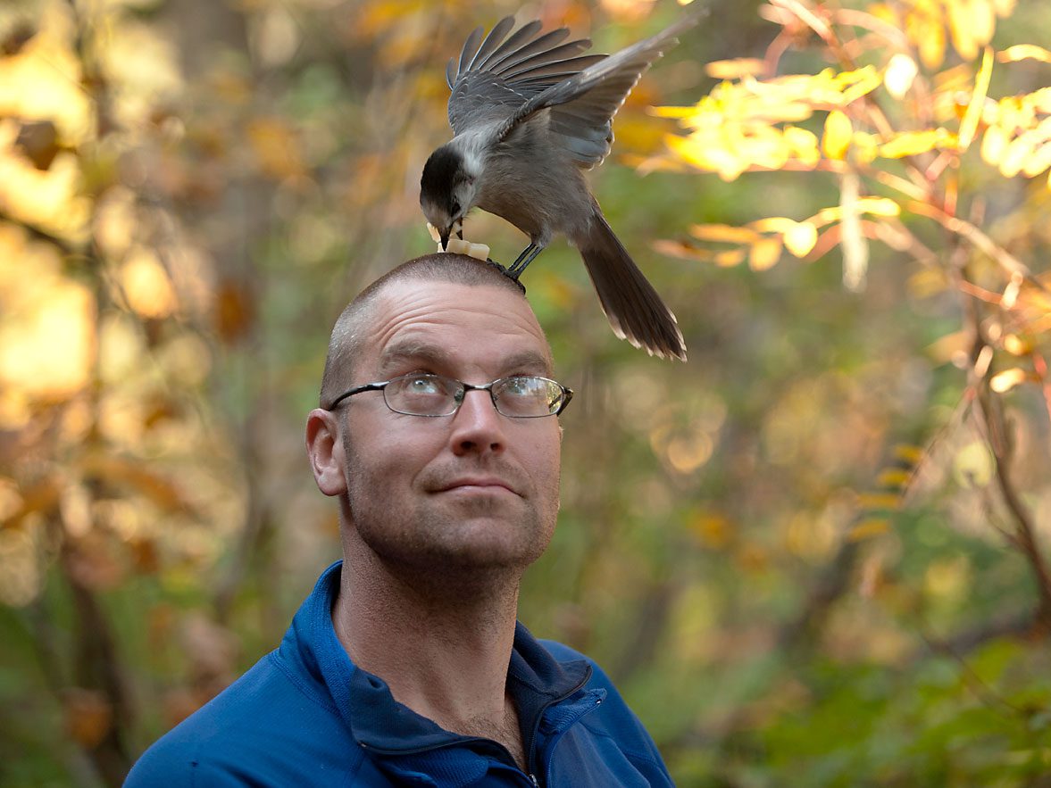 Cornell Lab Of Ornithology