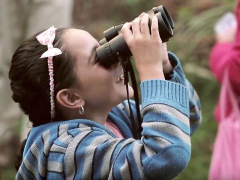 Birdsleuth in Costa Rica, video