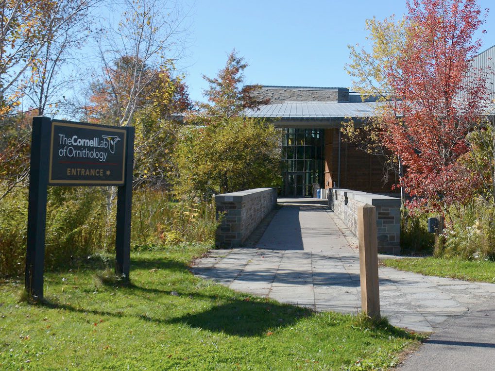 The entrance to the Cornell Lab visitor center