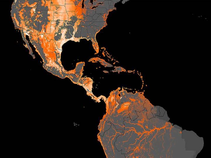 eBird sightings still of North and South America