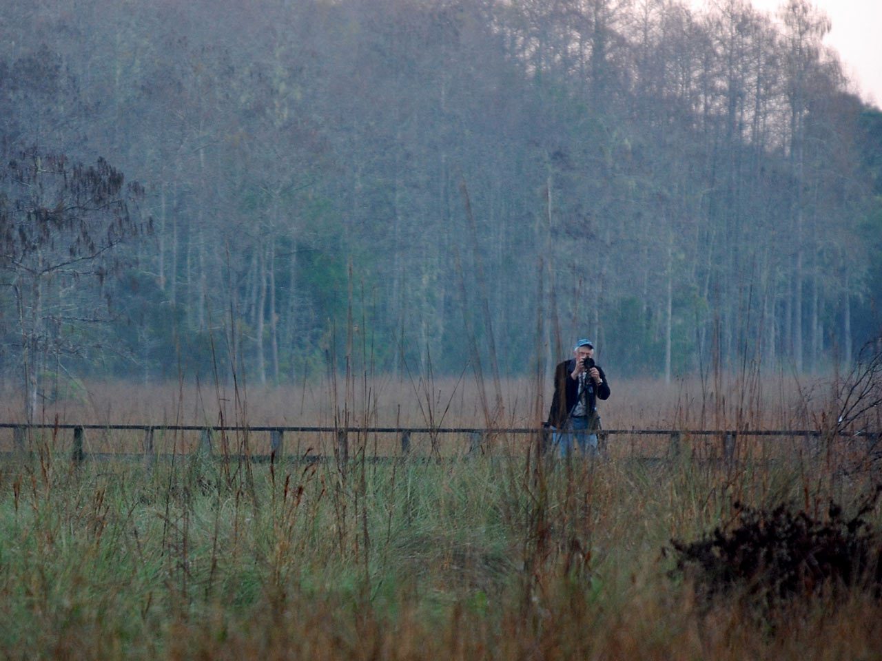 Birding in a marsh in Naples, Florida