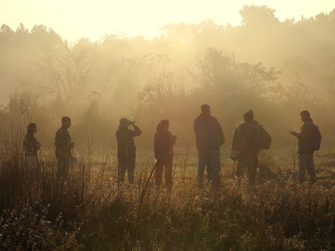 Birders in a foggy California setting