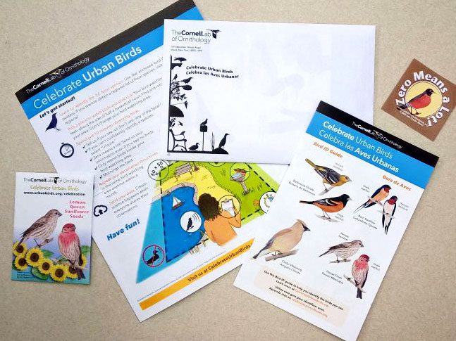 CUBs kit. Photo from CUBs website: https://celebrateurbanbirds.org/resources/resources-for-latin-america-el-caribe/free-downloads-educational-kits-field-guides-manuals-books/