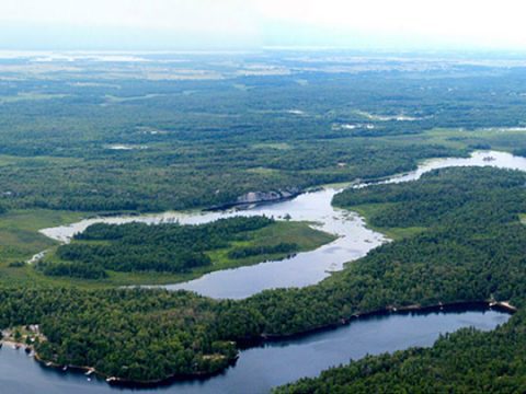 An overhead view of land conserved by the Indian River Lakes Conservancy. Photo credit: IRLC https://www.birds.cornell.edu/landtrust/indian-river-lakes-conservancy/