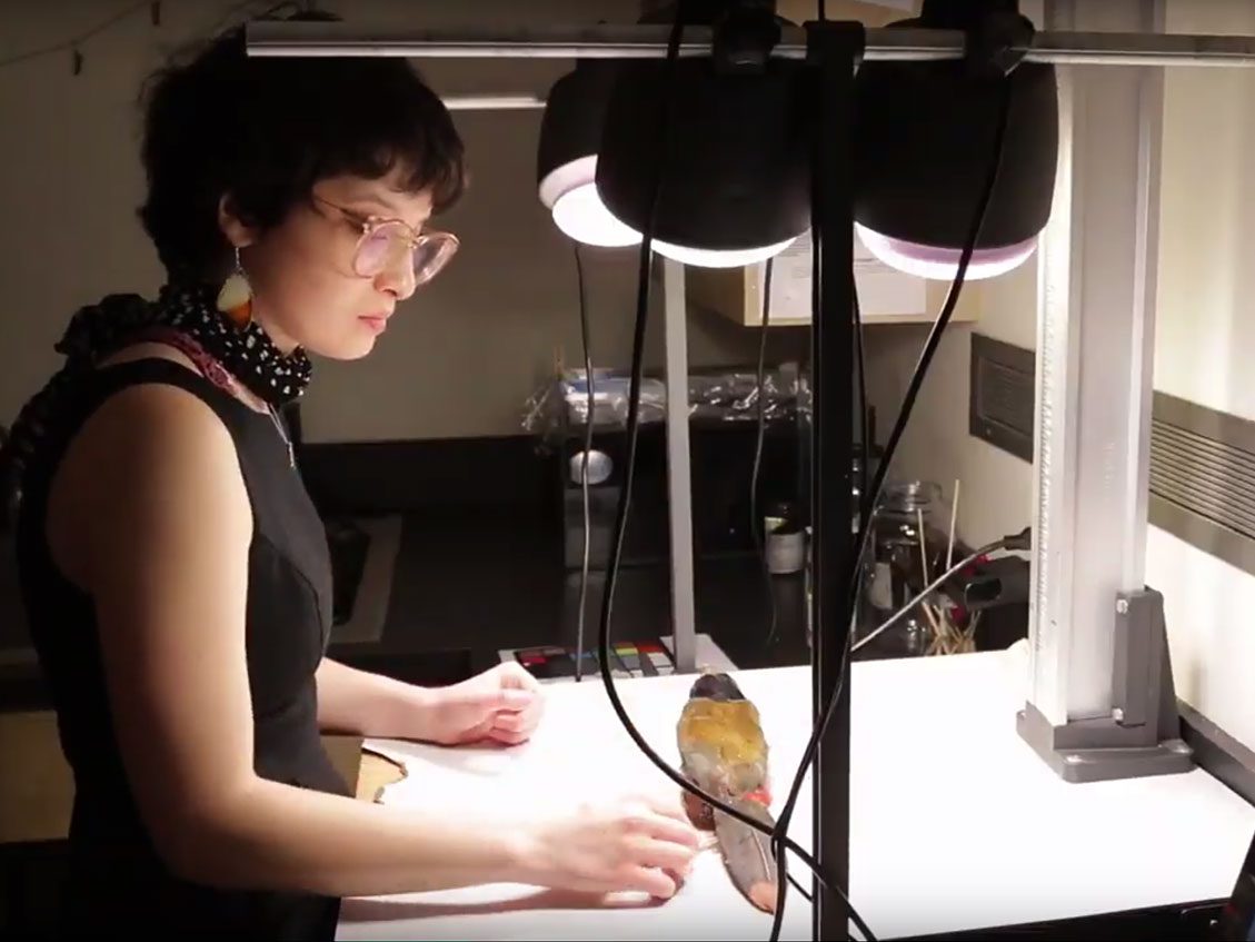 Kylie Corwin, still from video: https://youtu.be/pSnKp9AcqR8