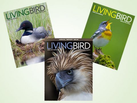Living Bird magazines