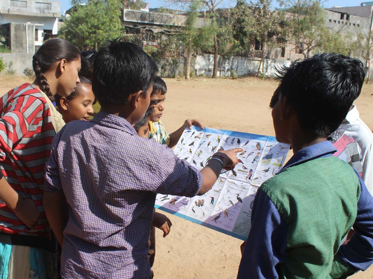 Young people birding in India work at identifying birds using a fold-out guide
