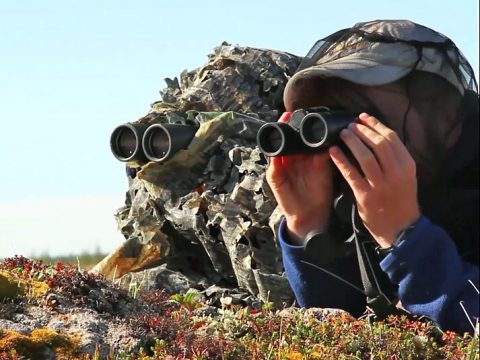 Students and binoculars, from video on page.