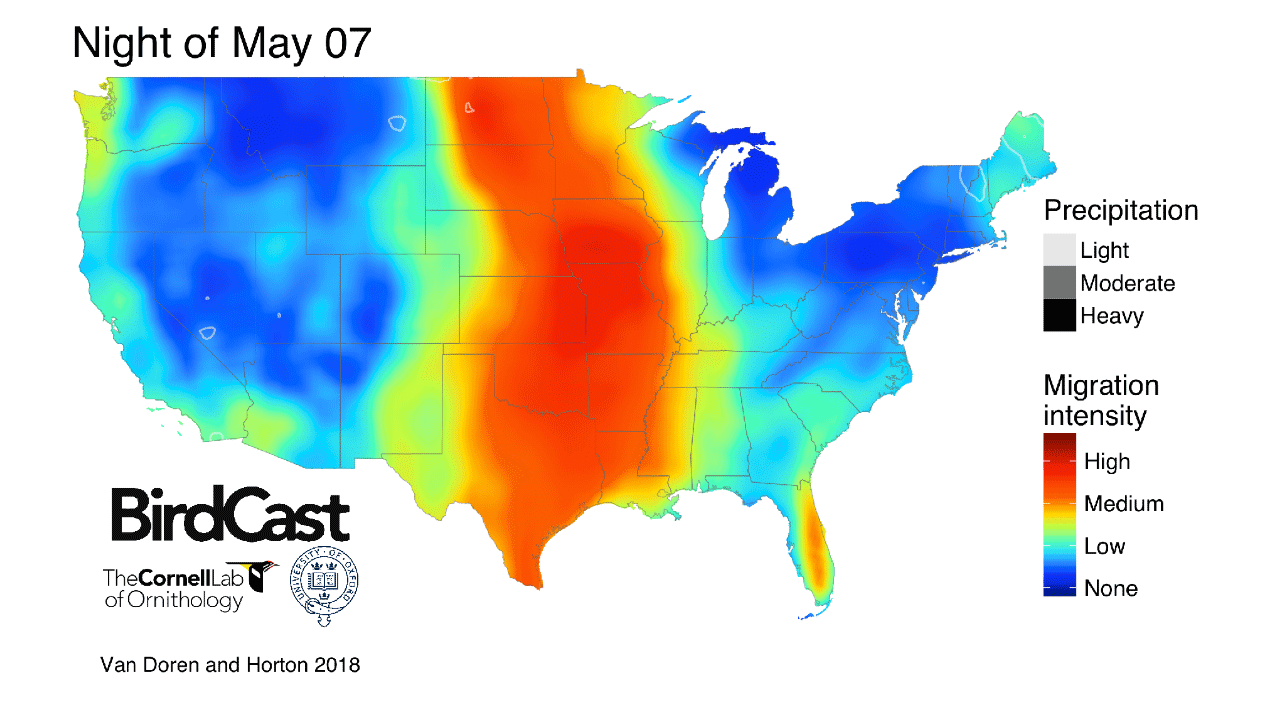 migration forecast using BirdCast radar analysis