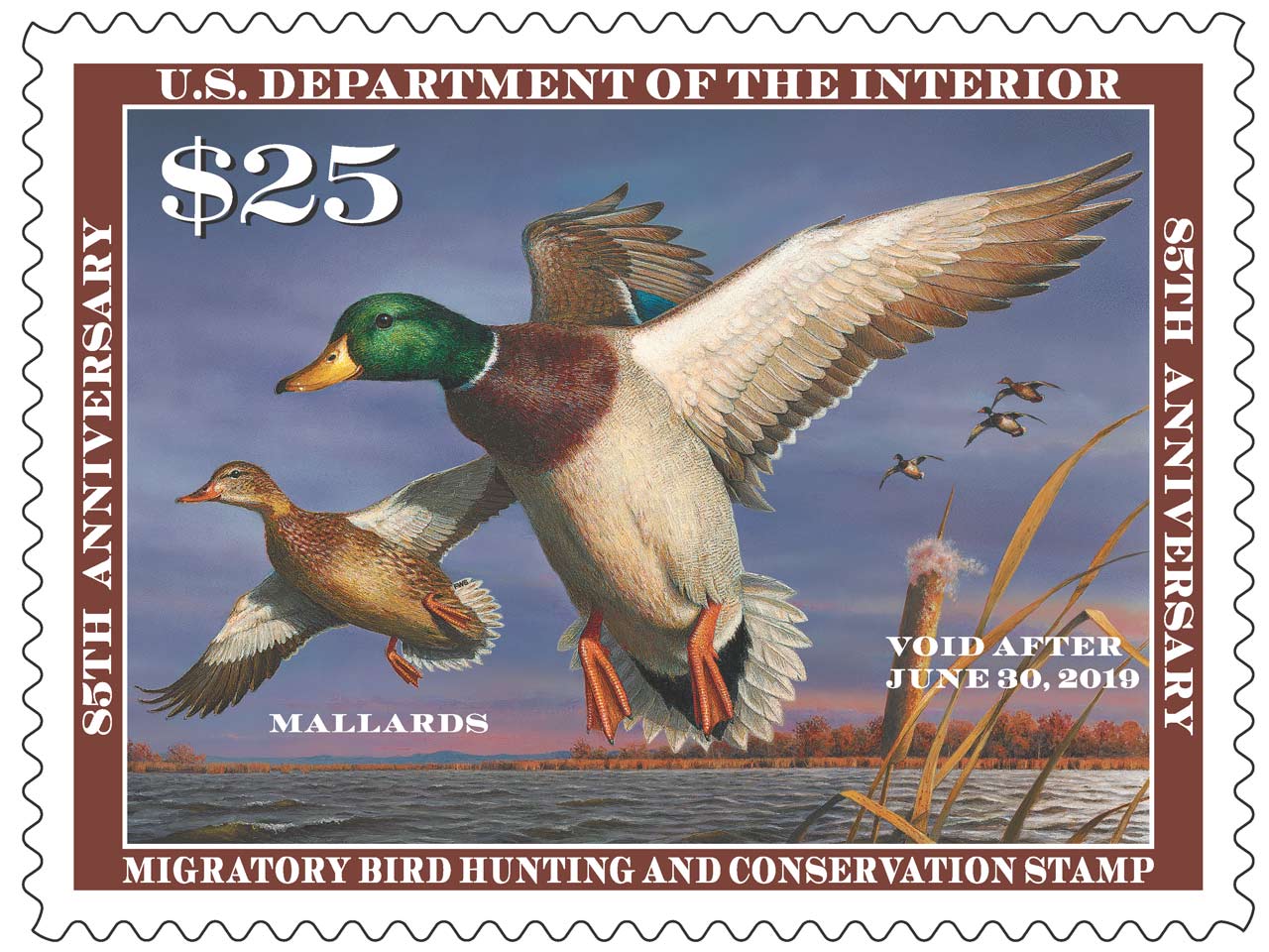 2018 migratory bird stamp featuring a pair of Mallards landing in water