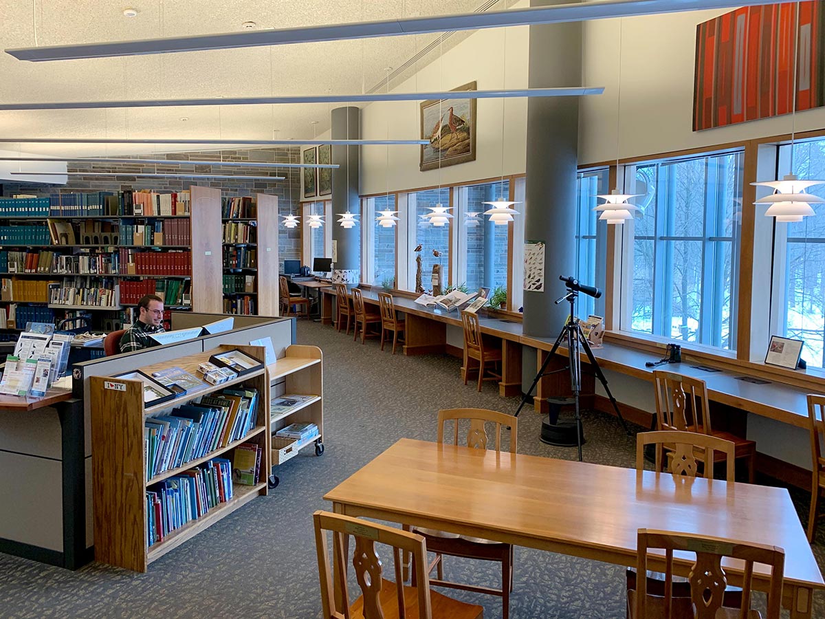 Adelson Library by Alex Chang