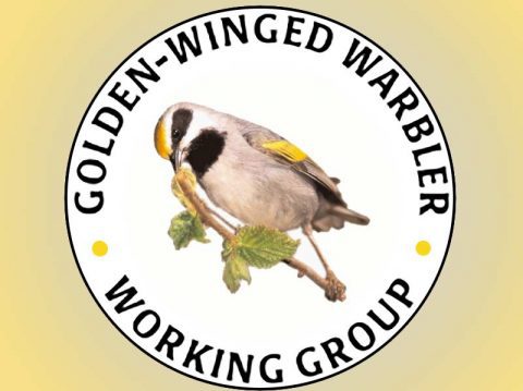 Golden-winged Warbler working group logo