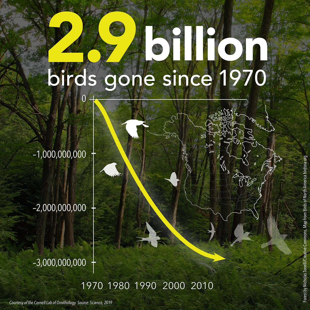 2.9 billion birds gone since 1970