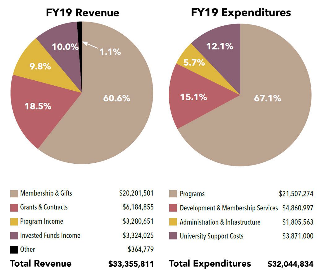 Financials 2019