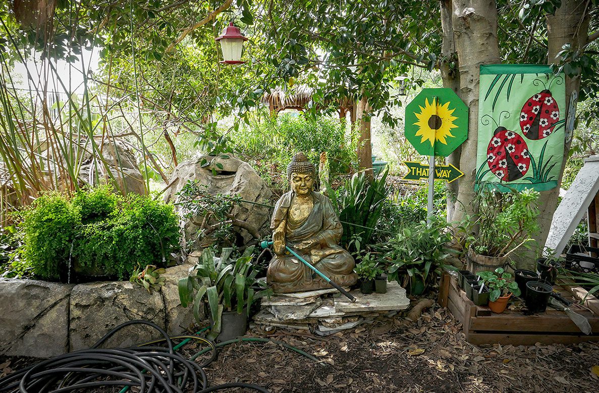 Buddah garden with green trees, plants, a flag and bird feeder