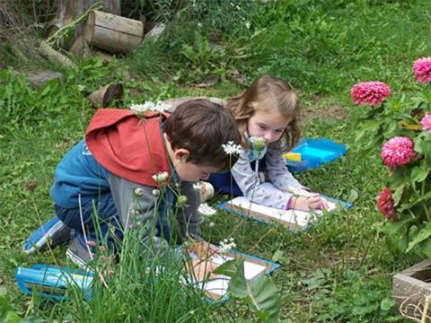 Children studying