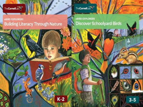 Illustration of students looking at bird info and being in nature as part of K12 eBird Explorers