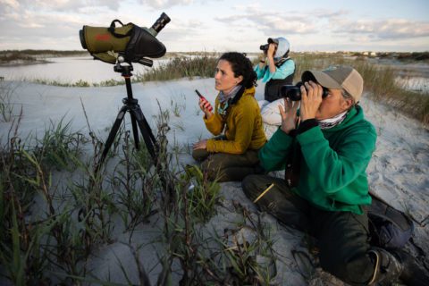 Researchers in field Deveaux Bank