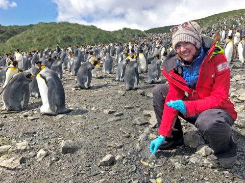 Gemma Clucas, Cornell Lab postdoc, with King Penguins on Salisbury Plain, South Georgia. Photo by Hamza Yassin.