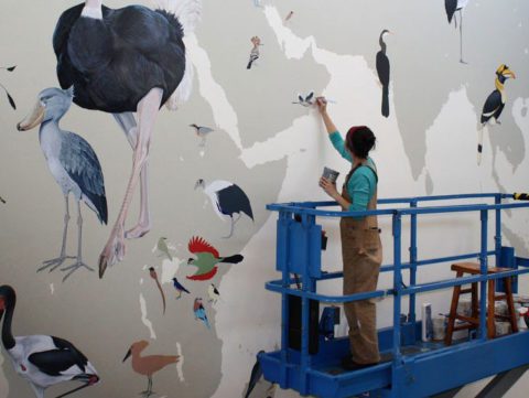 Jane Kim paints the Wall of Birds mural in the Sapsucker Woods Visitor Center