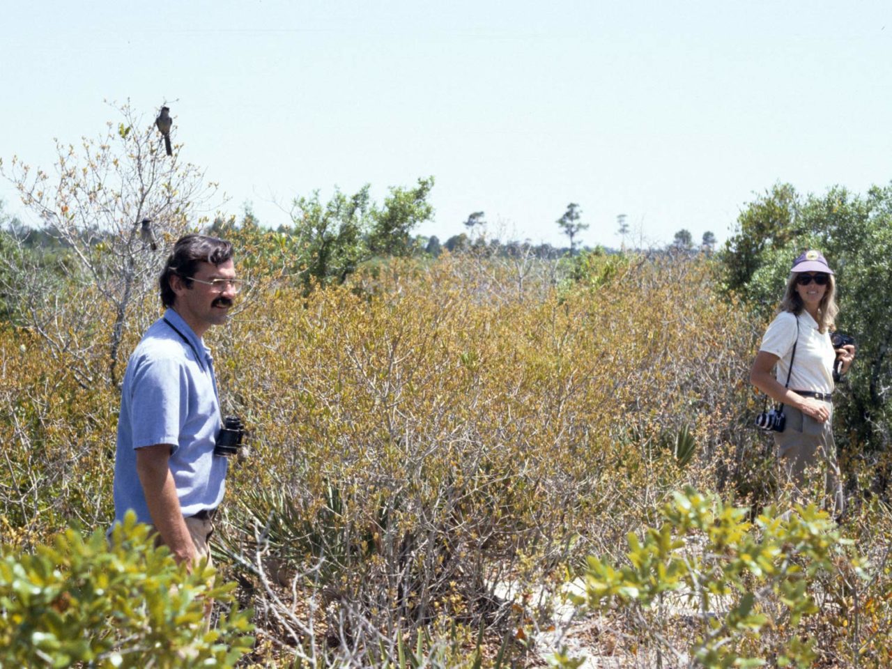 John and Molly Fitzpatrick survey the Florida scrub, 1980s