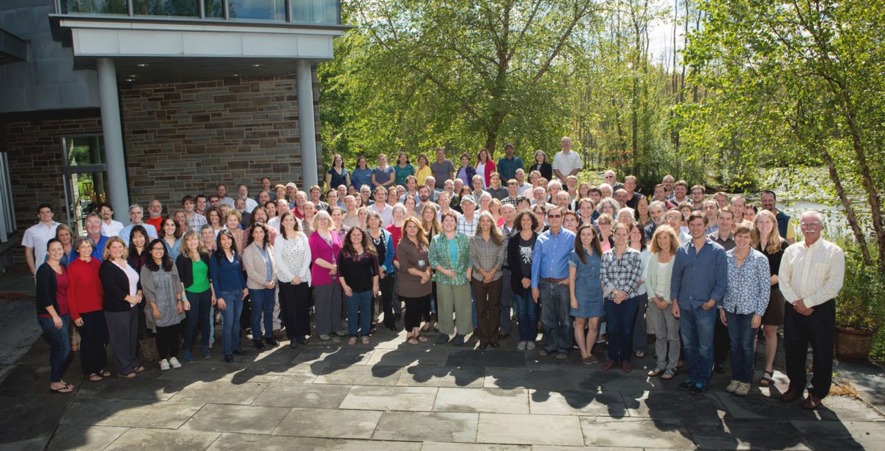 Lab staff 2015, courtesy of CLO.