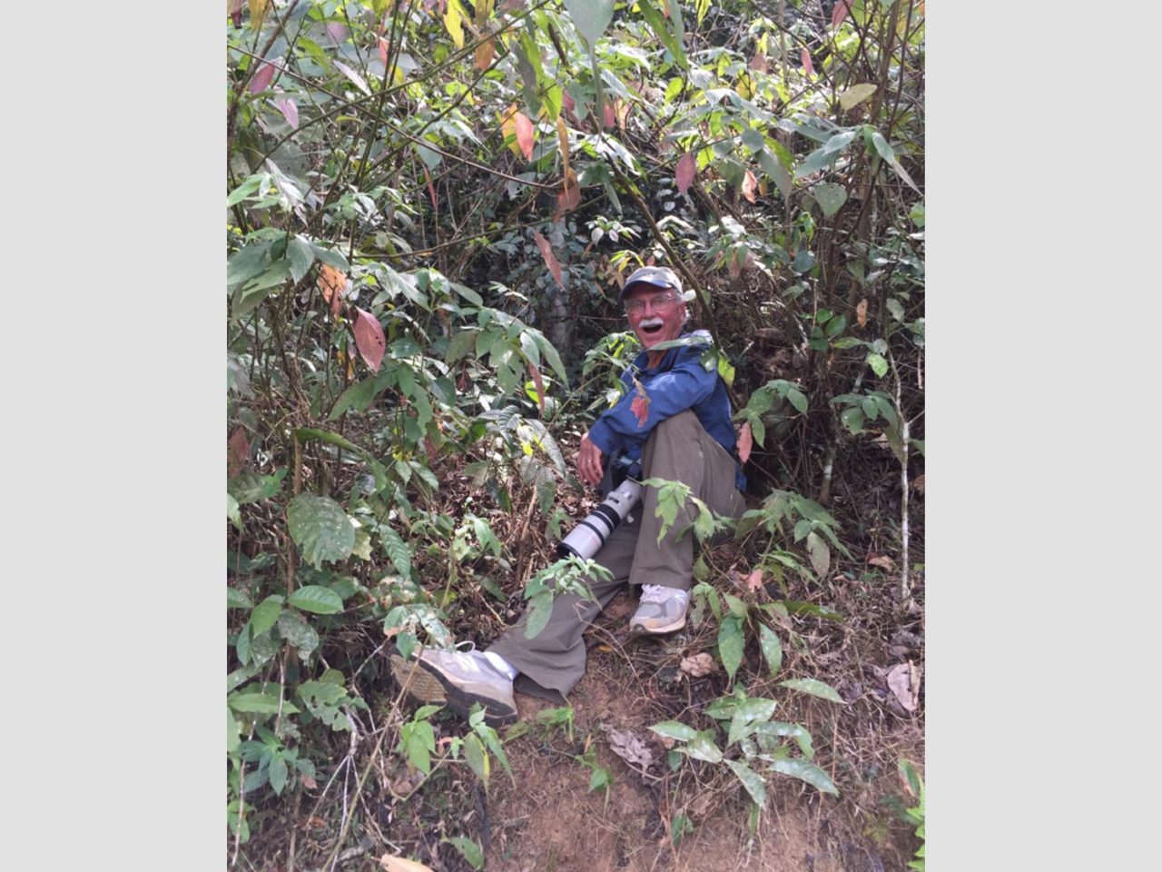 John Fitzpatrick rests in undergrowth after following a bird he'd never seen before