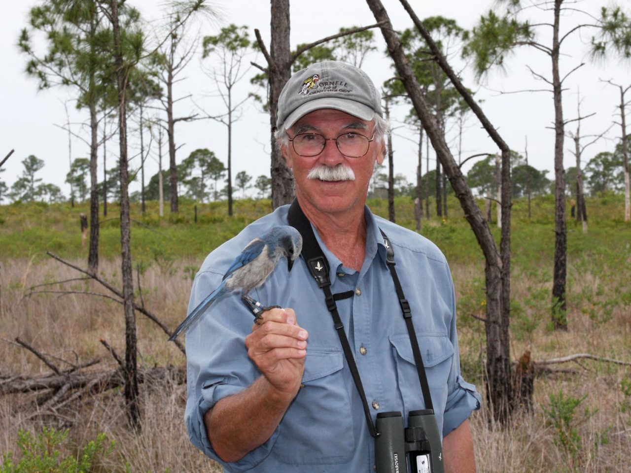 John Fitzpatrick with scrub-jay perched on hand, taken in 2000s