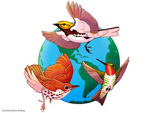 Illustrated birds flying around the earth