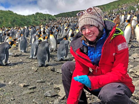 Postdoc Gemma Clucas with King Penguins on South Georgia Island