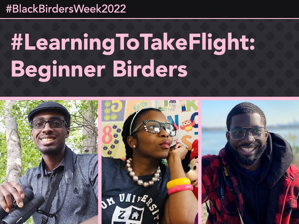 Black birders week photo of panelists