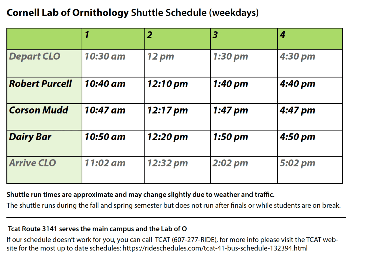 Cornell 2025 Schedule Debra Eugenie