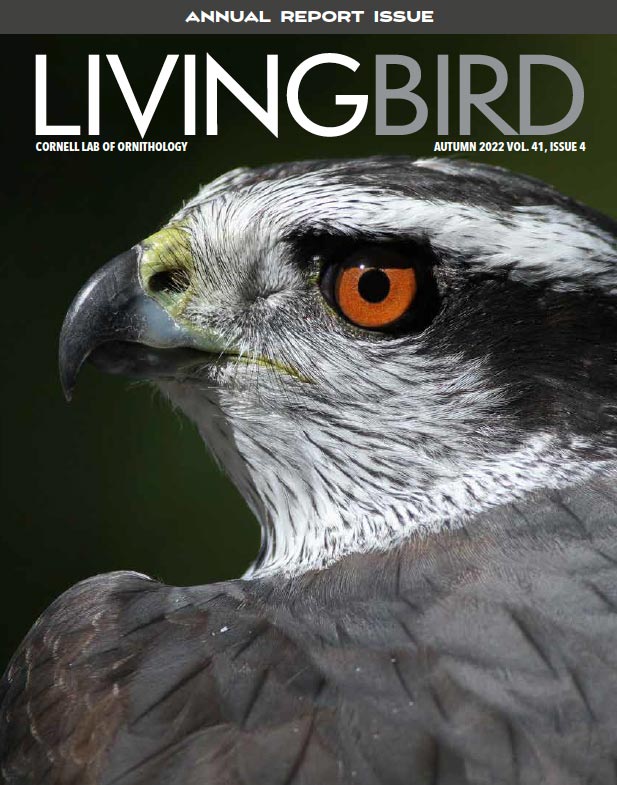 Read Living Bird Online Autumn 2022