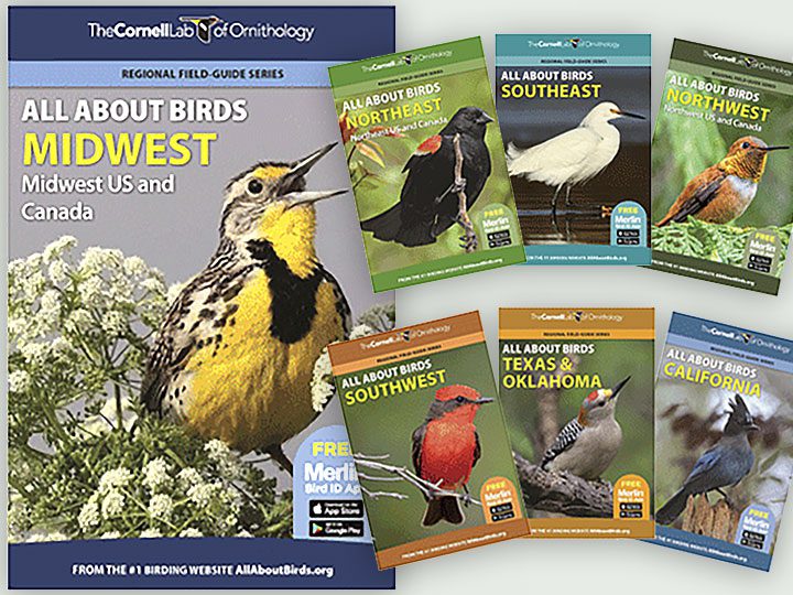 7 regional field guides from the Cornell Lab Publishing group of birds if different regions of North America.
