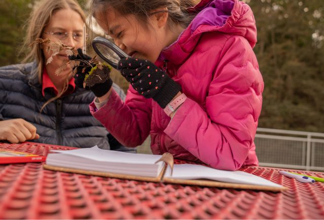 Girl using a magnifying glass to inspect moss and a plant