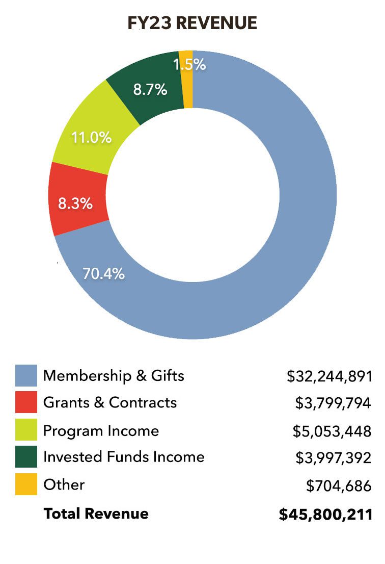 Pie charts showing revenue of the Cornell Lan in 2023.