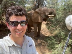 Man with sunglasses and an African elephant in the background.