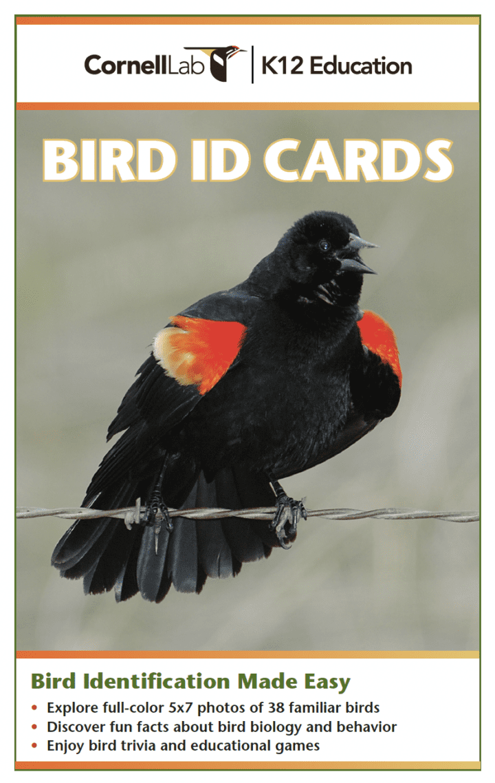 text on image: Bird ID Cards. Cornell Lab K-12 Education. Bird identification made easy. Explore full-color 5x7 photos of 38 familiar birds; discover fun facts about bird biology and behavior; enjoy bird trivia and educational games