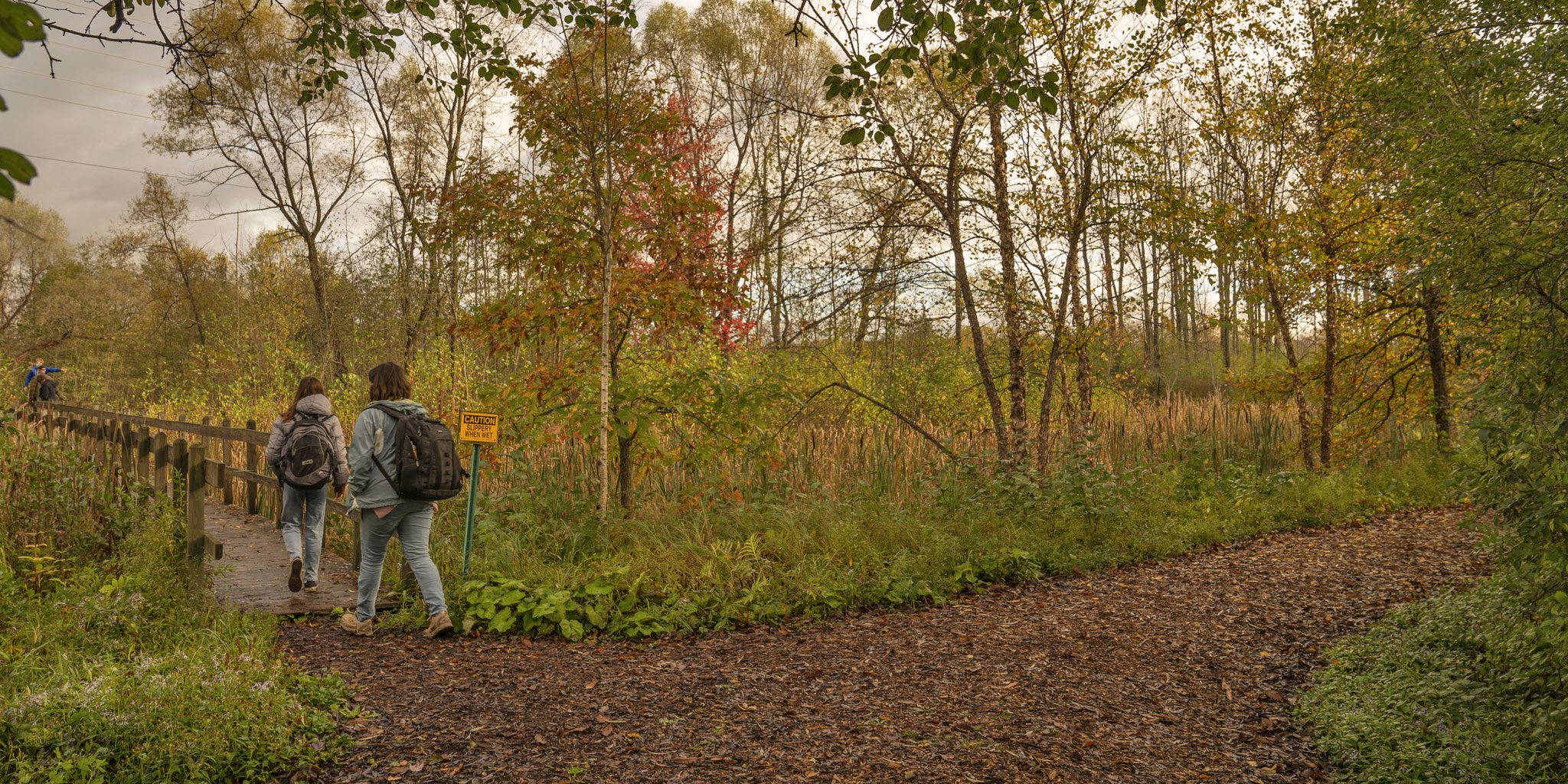 A woman and girl walk the trails in Sapsucker Woods