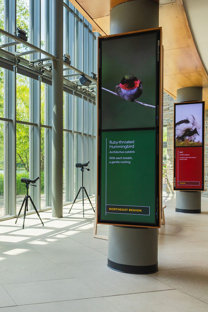 Scopes set up in front of windows next to displays on tv screens