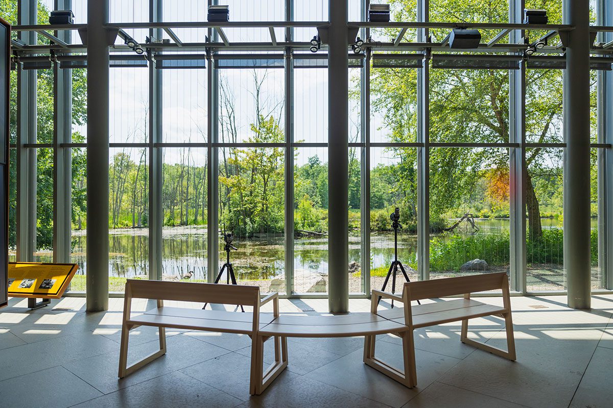 Windows with benches, scopes and a board of information looking out to a pond