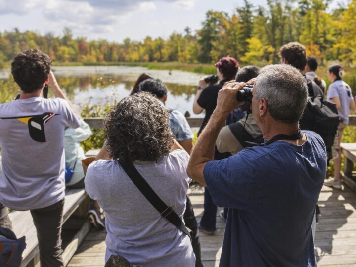 A group of people looking at a pond through binoculars