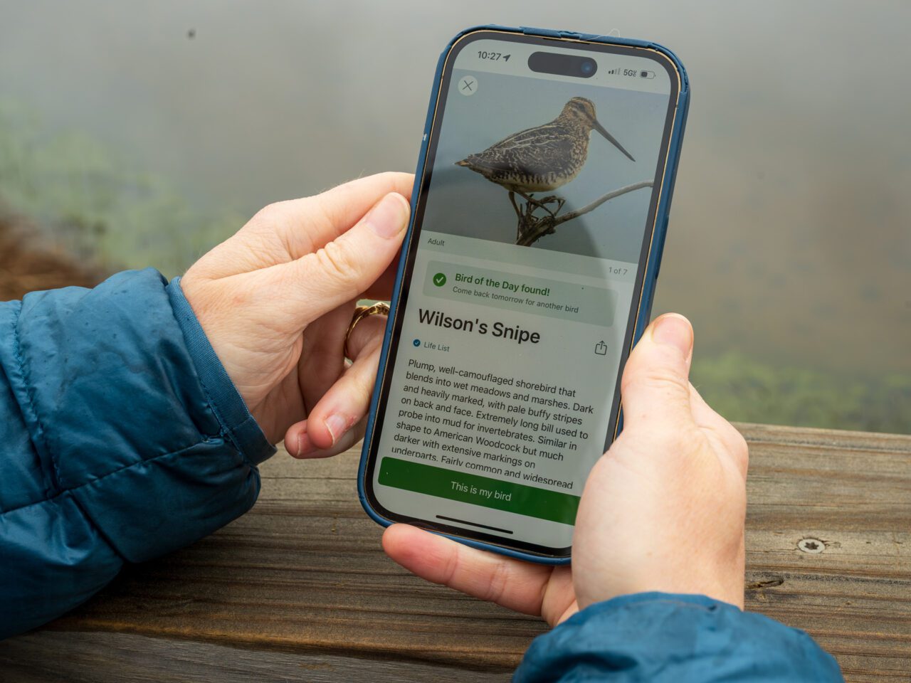 person holding a smartphone showing the Merlin app