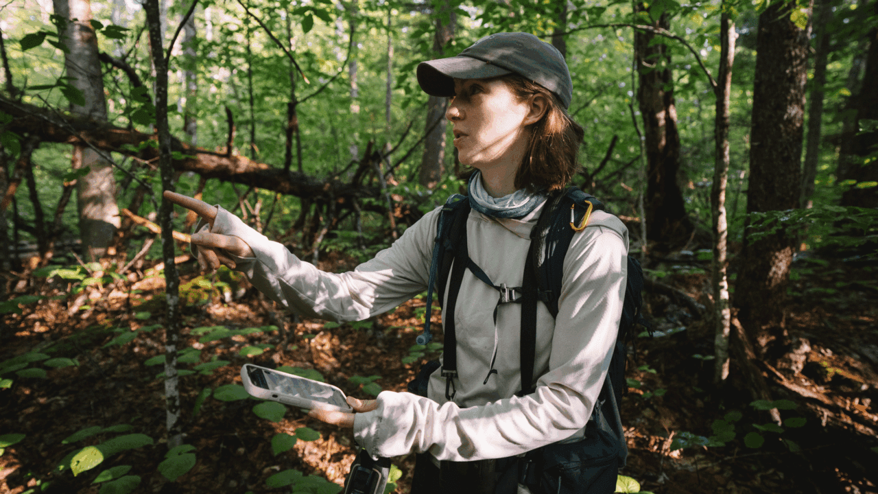 Person in forest gear holding a phone and pointing