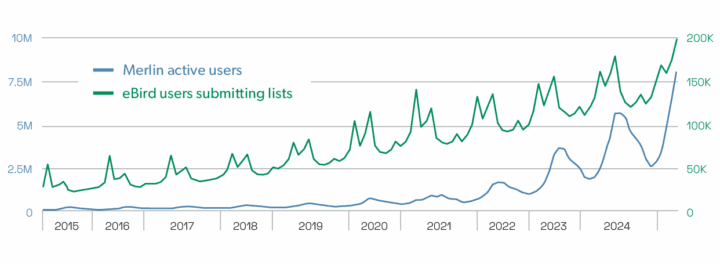 Line graph showing steady growth in Merlin active users and eBird users submitting lists from 2015 to 2024